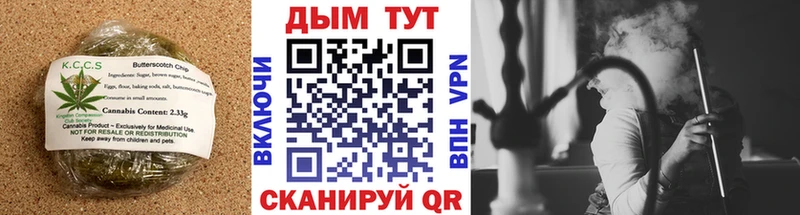 купить наркотики цена  Орехово-Зуево  Cannafood марихуана 