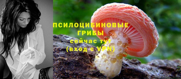 хмурый Краснотурьинск